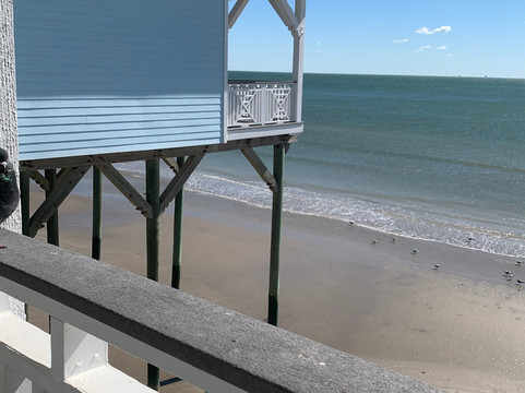 Murdochs-盖维斯顿必去景点