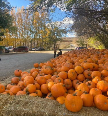 Lincoln Gardens-Lumsden必去景点