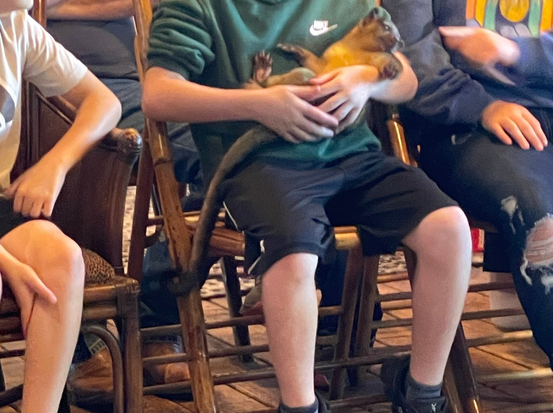 Tiger Safari Zoological Park-Tuttle必去景点