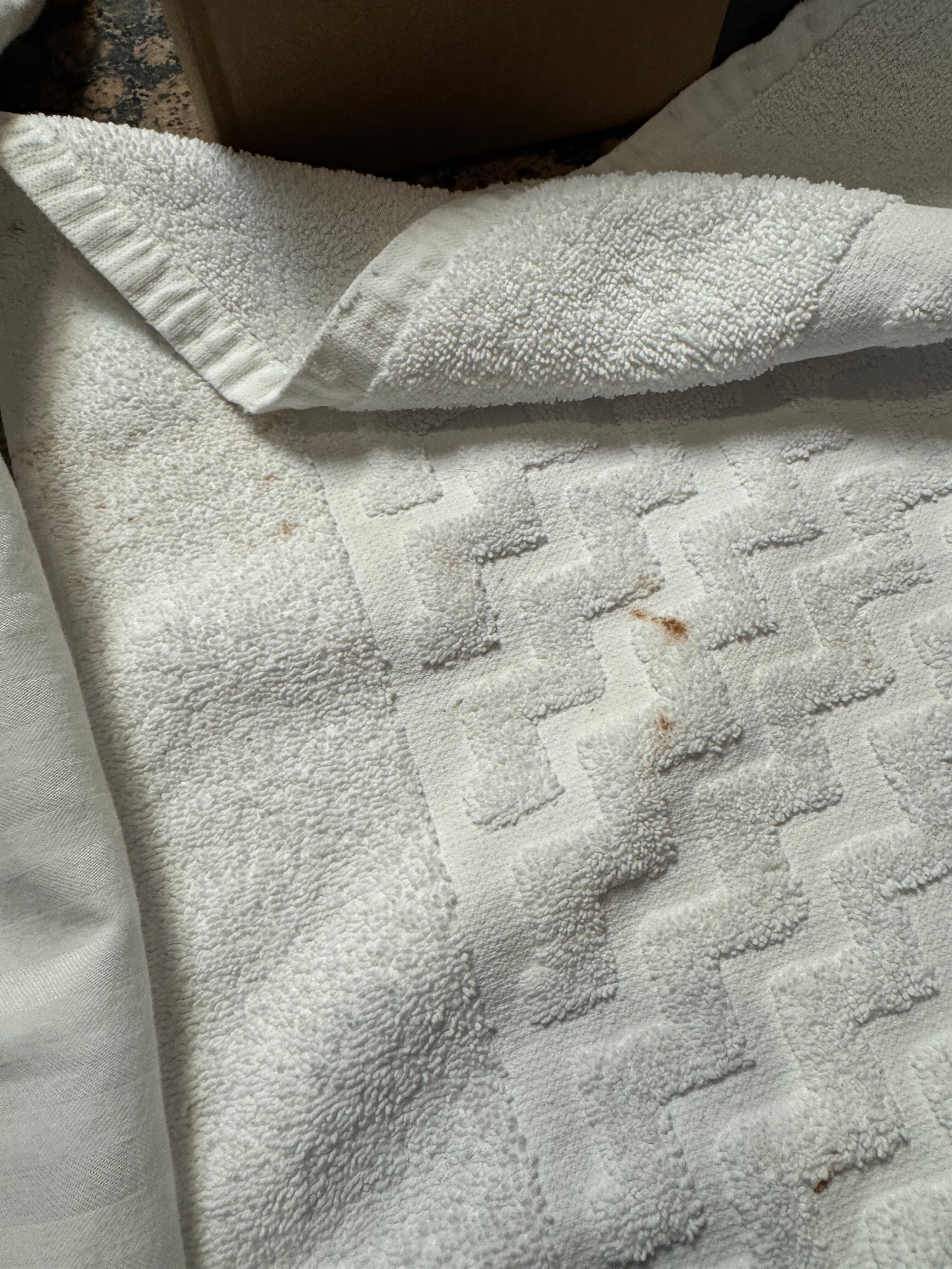 帕克威贝斯特韦斯特普勒斯旅馆-客卧