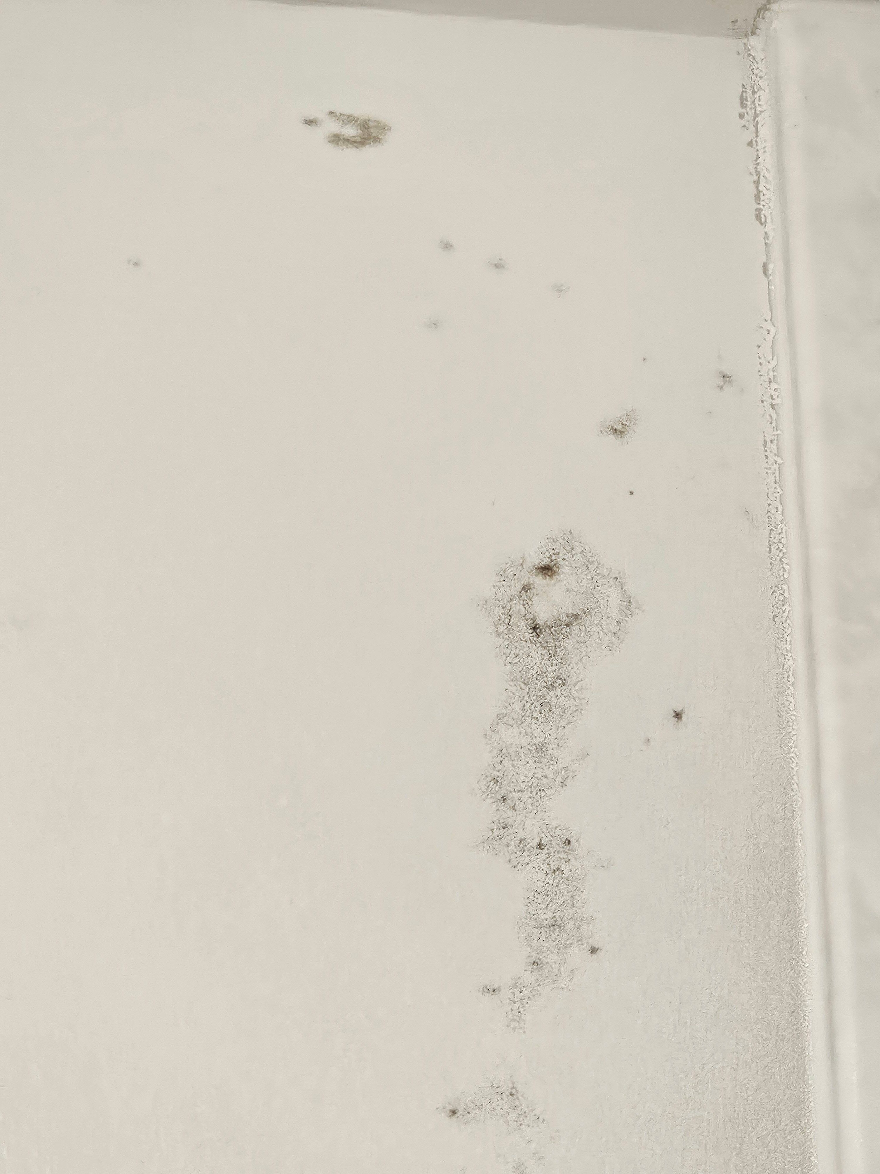 乐丽思套房酒店-浴室