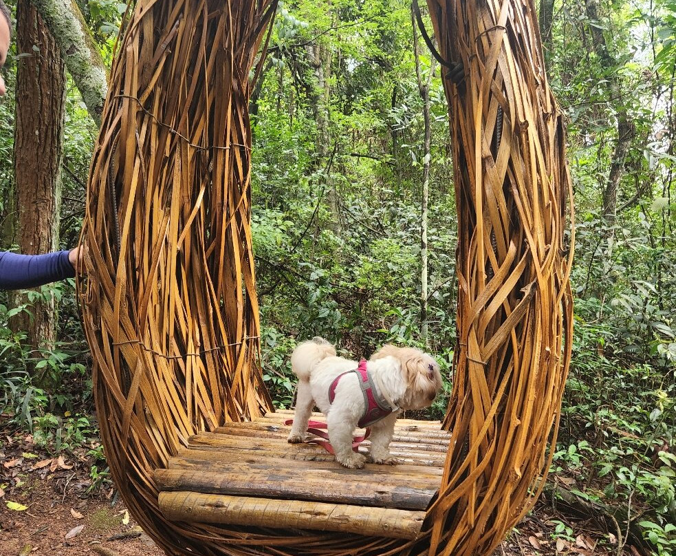 Monjolinho Parque de Aventura-索科罗必去景点