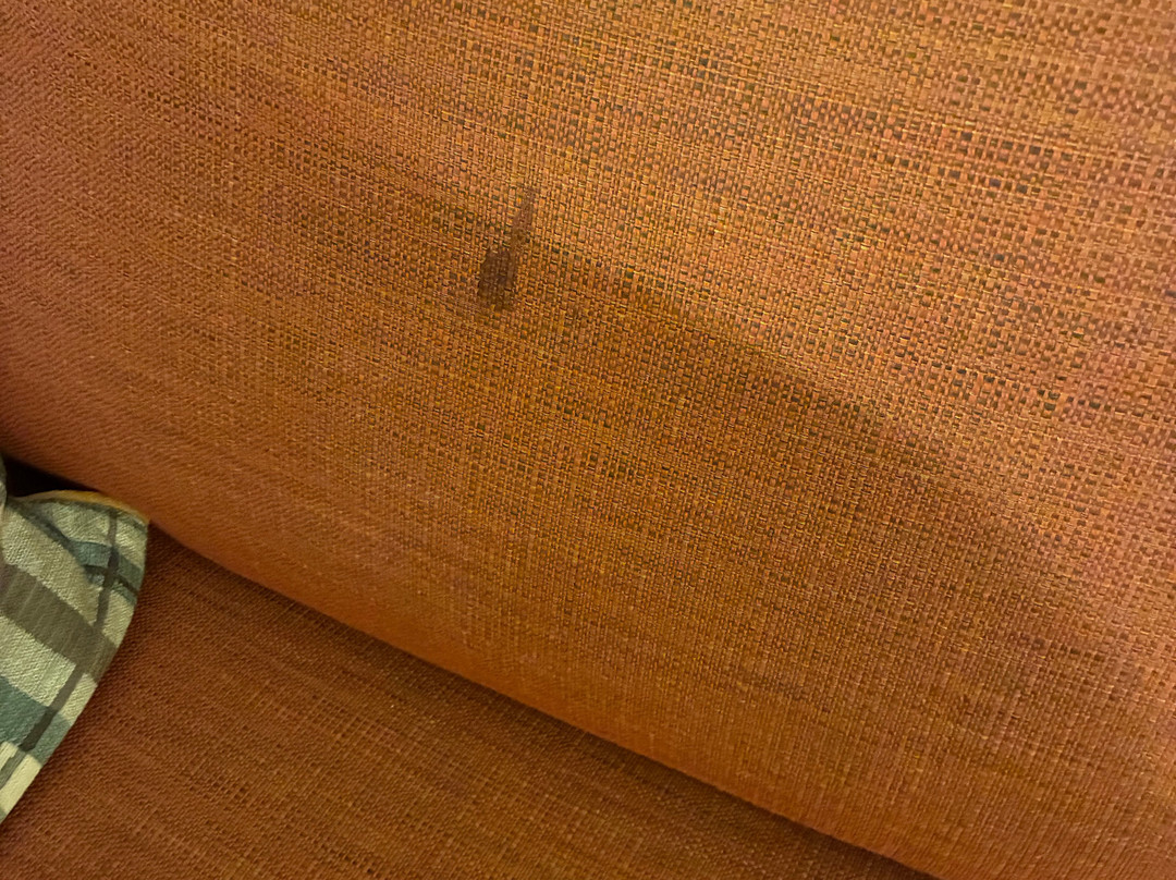 Hampton Inn & Suites Deland主图