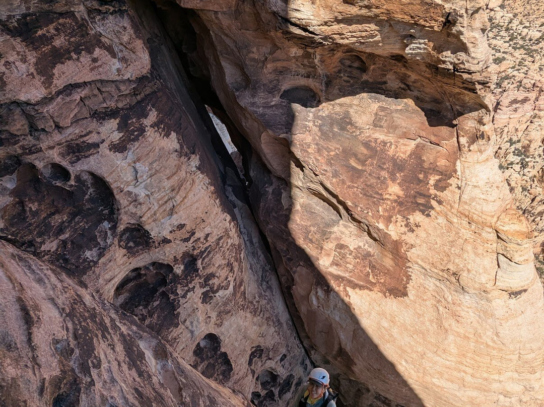 Mountain Skills Rock Guides, LLC-道师城必去景点