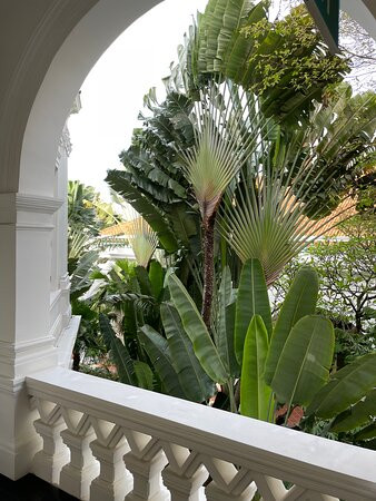 新加坡莱佛士酒店主图