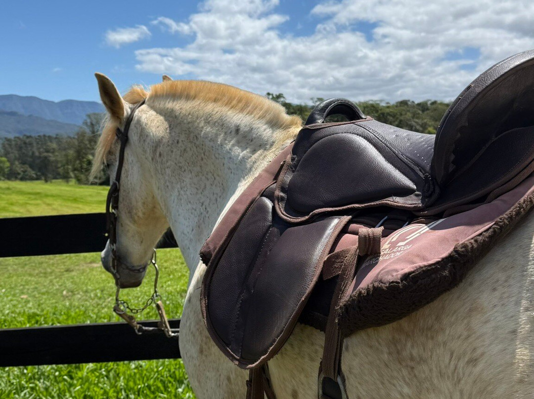 Pousada Di Venezia主图