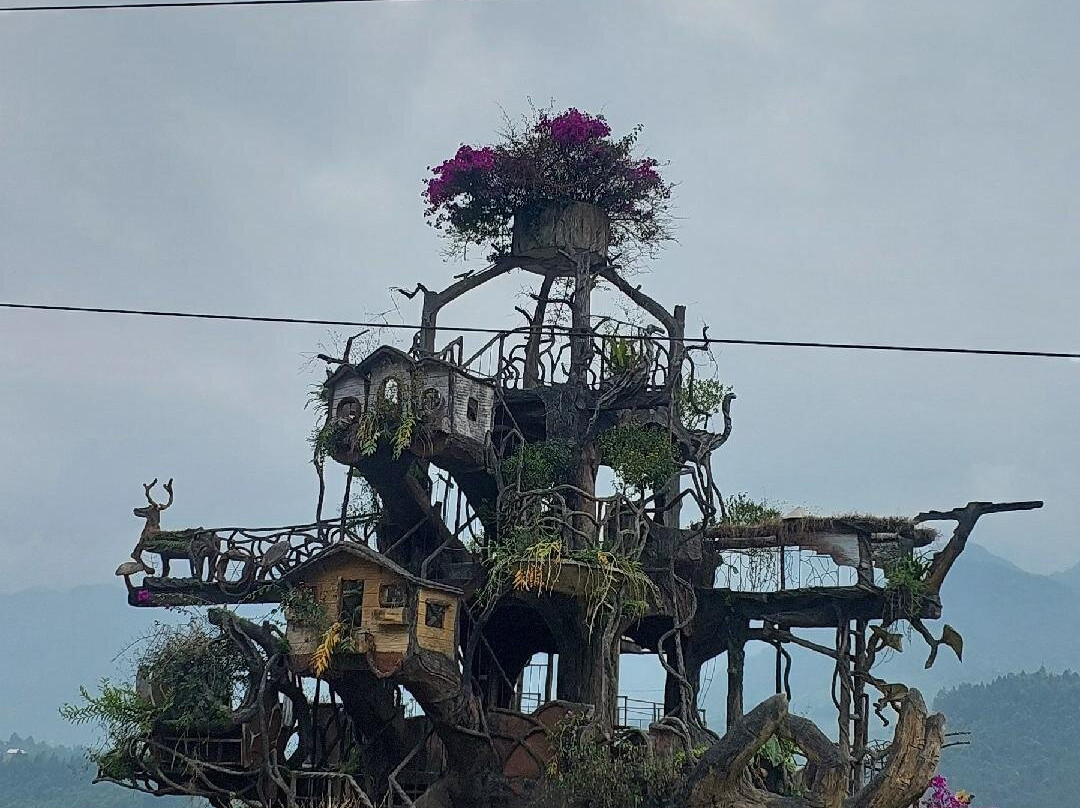 Da Nang Car Rental-岘港必去景点