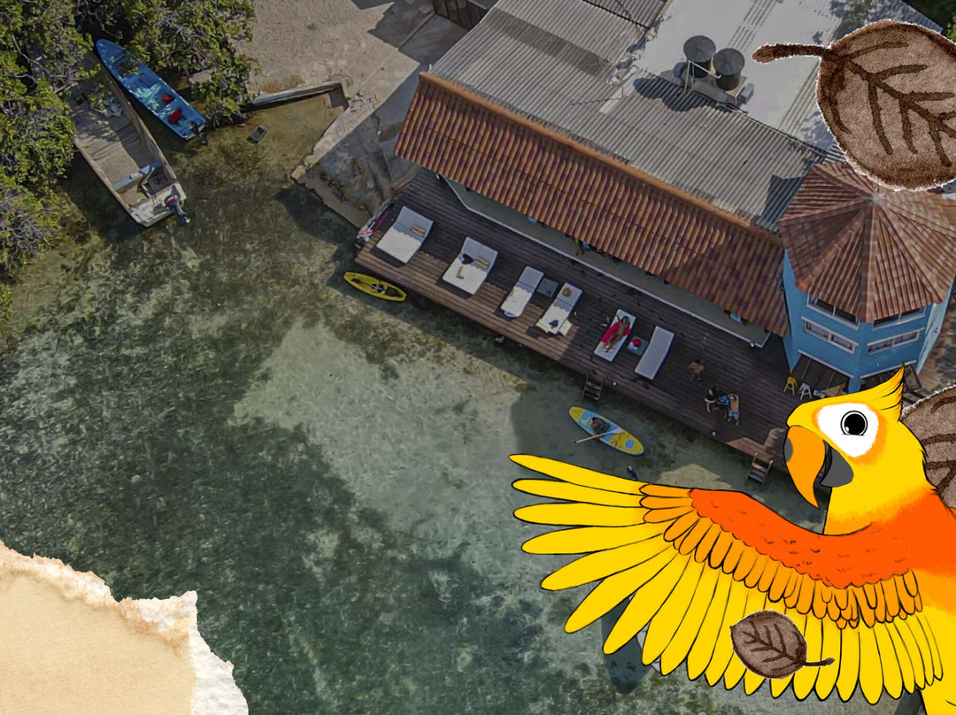 Cartagena Insider Tours-卡塔赫纳必去景点