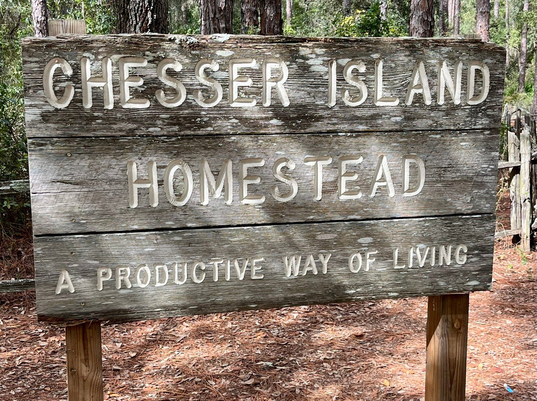 Okefenokee Adventures-Folkston必去景点