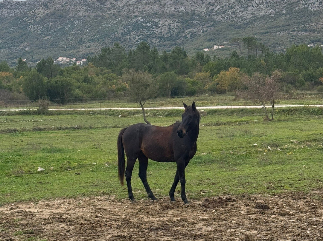 Ranch Novaković-Cilipi必去景点