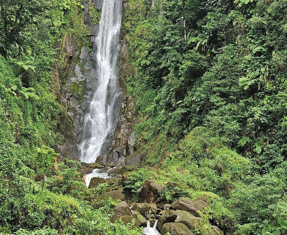 Trafalgar Falls-Morne Trois Pitons National Park必去景点