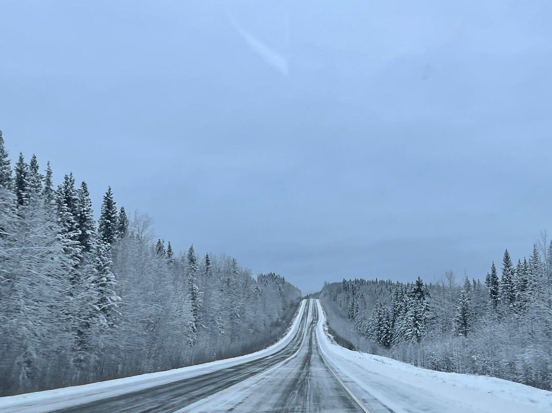 Cotter's Sled Dog Tours-费尔班克斯必去景点