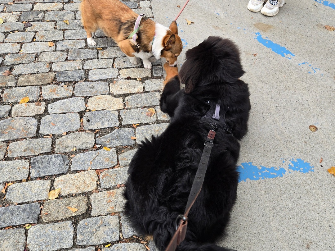 Hyatt Place Albany/Downtown主图