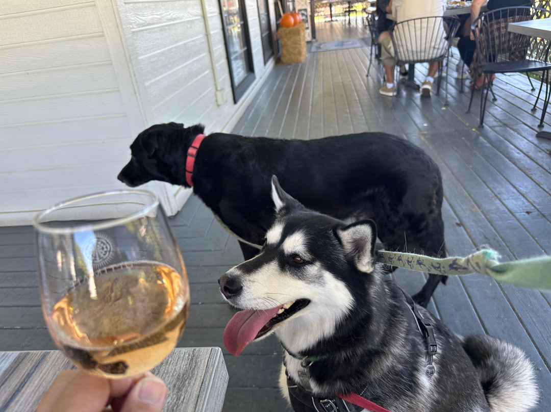 Maurice Car'rie Winery & Vineyards-特曼库拉必去景点