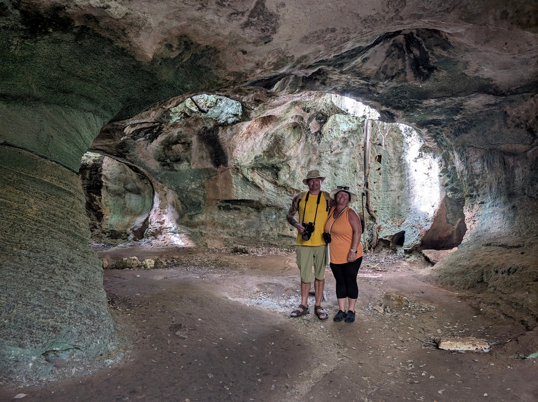 Cueva de Ambrosio-巴拉德罗必去景点