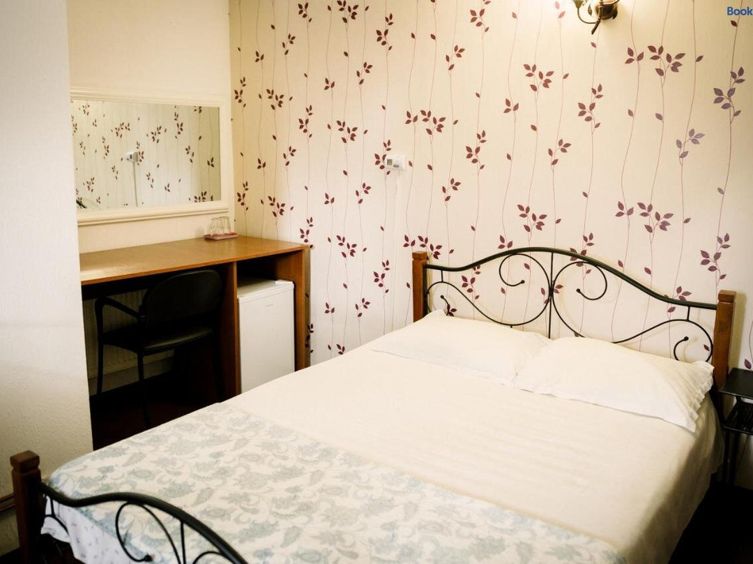 Pensiunea Class主图