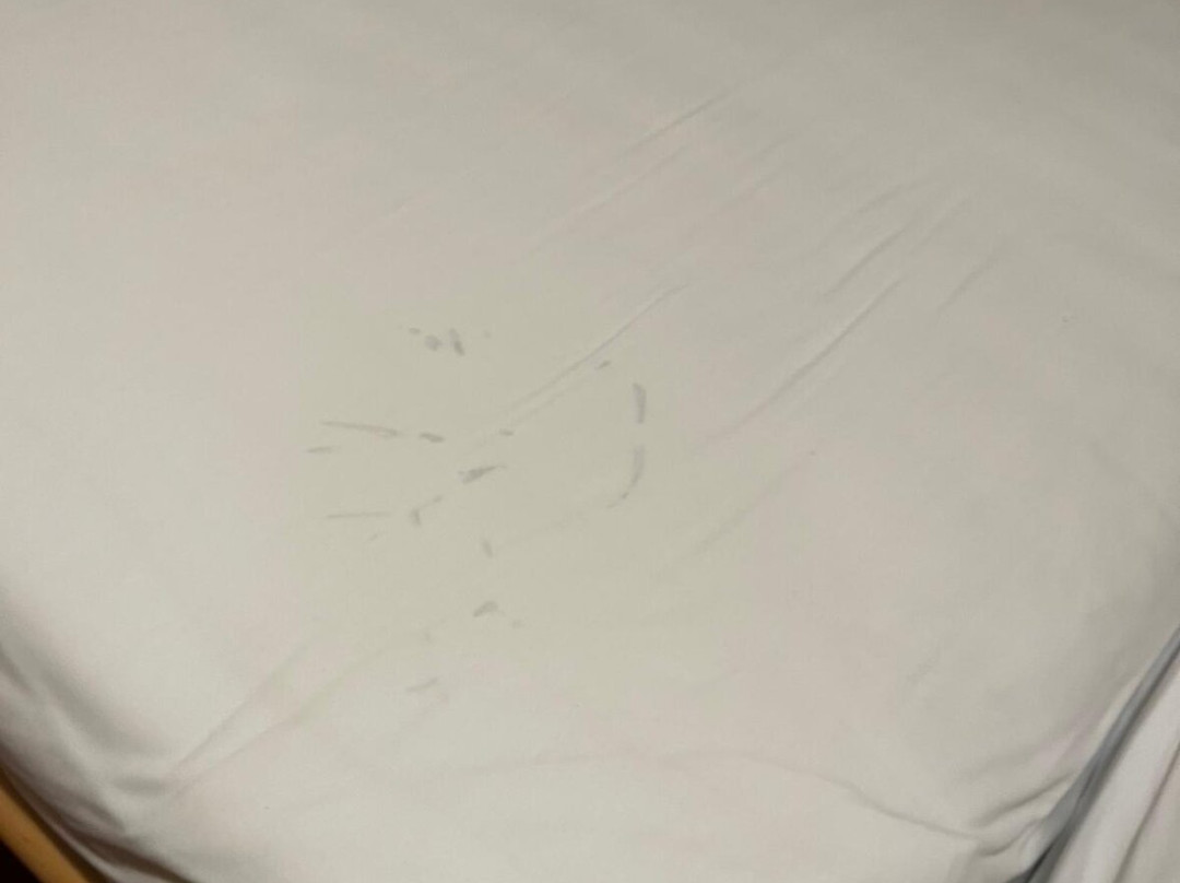 Hotel Berggasthof Schwaighofwirt主图