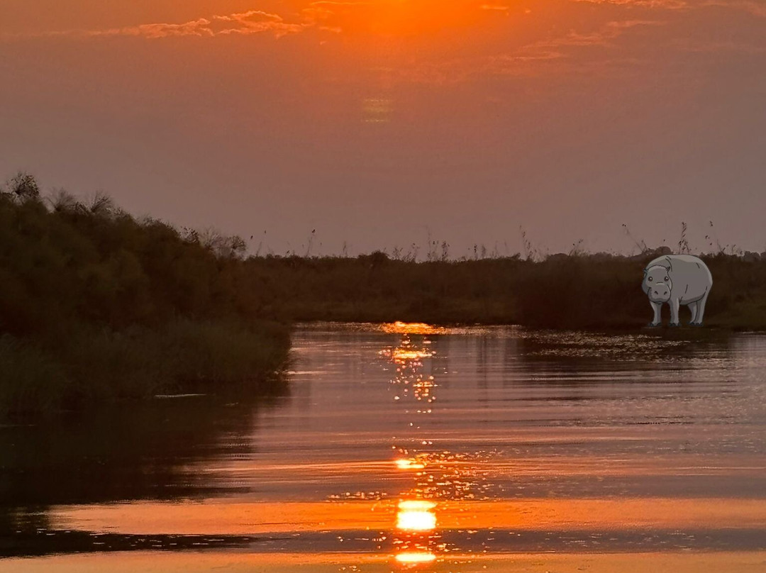 Kiboko Adventures-开普敦中心区必去景点