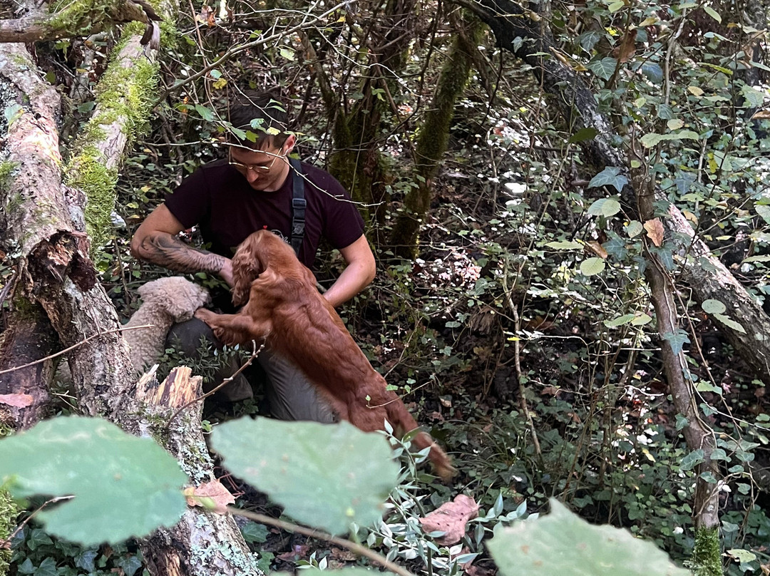 Karlic Tartufi-Buzet必去景点