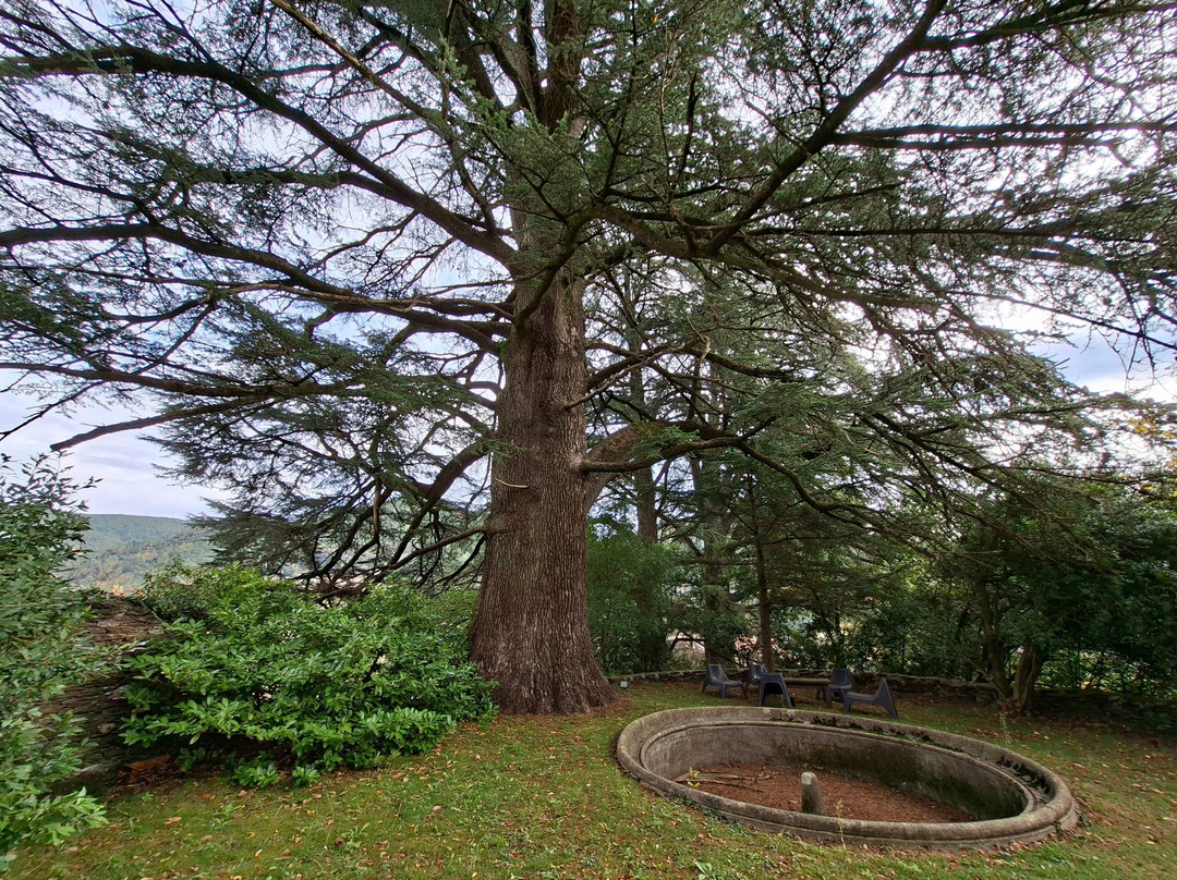 Château de Cambiaire主图