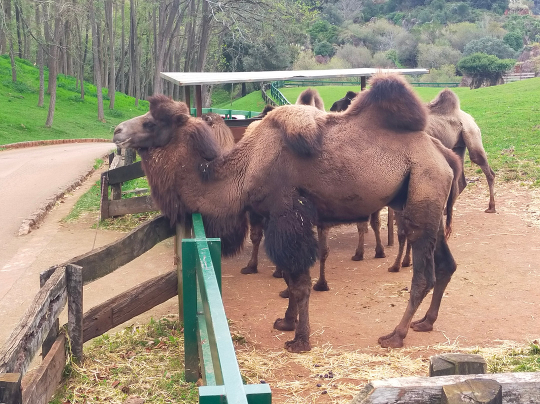 Parque de la Naturaleza de Cabarceno-Obregon必去景点