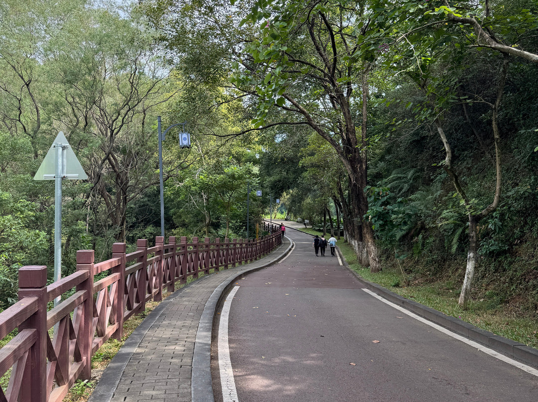 东莞虎英郊野公园-东莞市必去景点