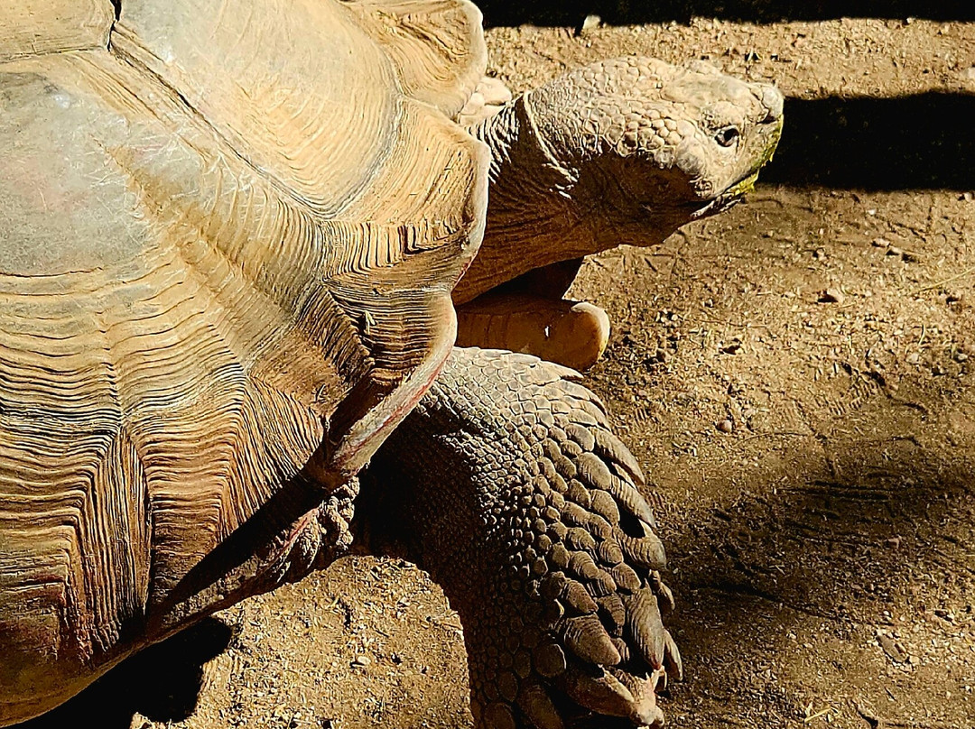 Southwest Wildlife Conservation Center-斯科茨代尔必去景点