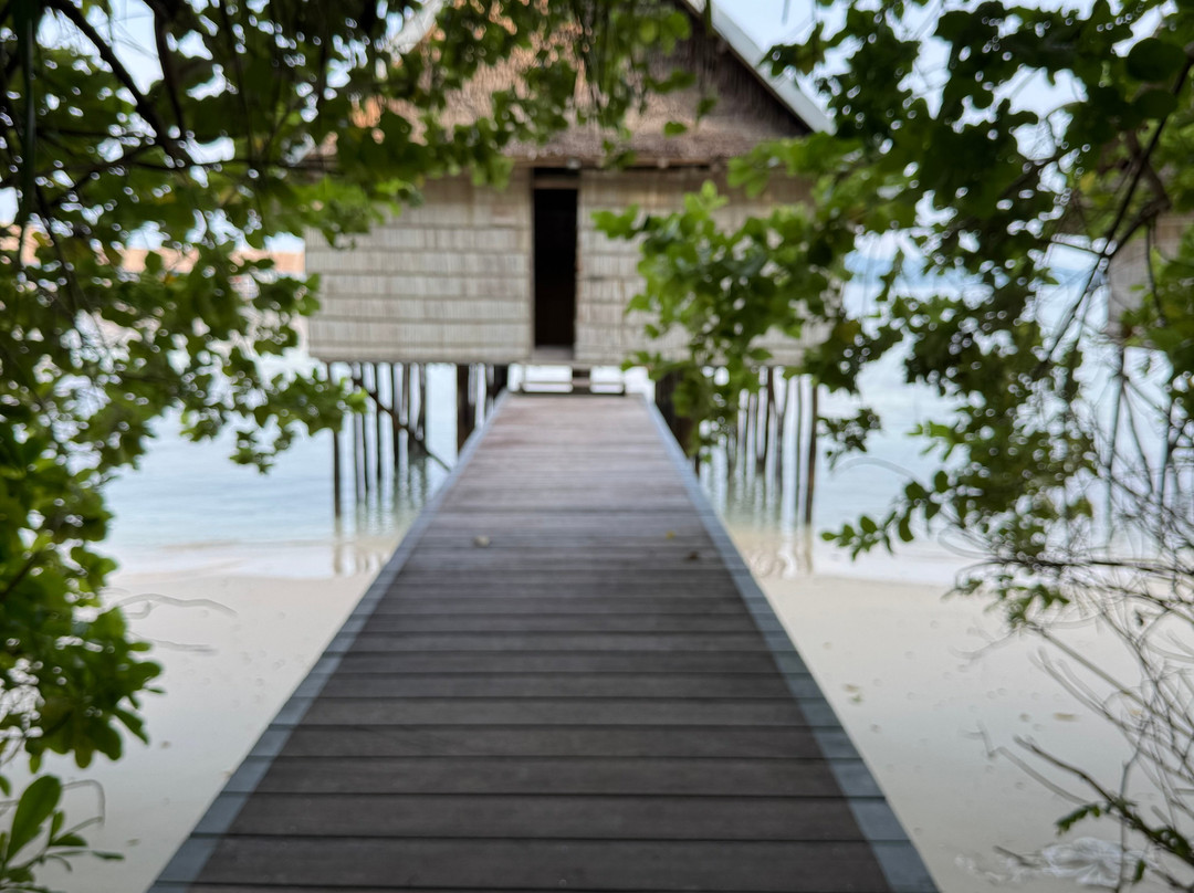 Papua Diving-Kri Island必去景点