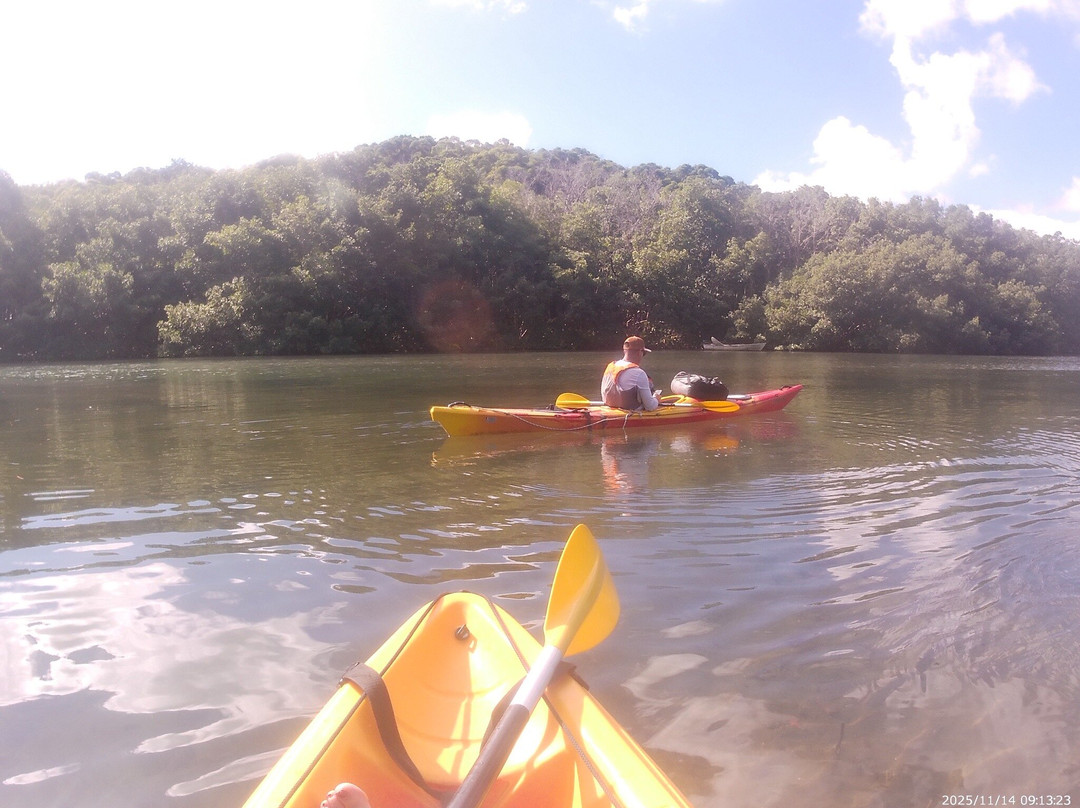 Yalodé Kayak Canyon Bain De Forêt-瓜德罗普岛必去景点
