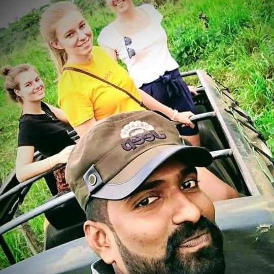 Minneriya jeep safari With Sujee-锡吉里亚必去景点