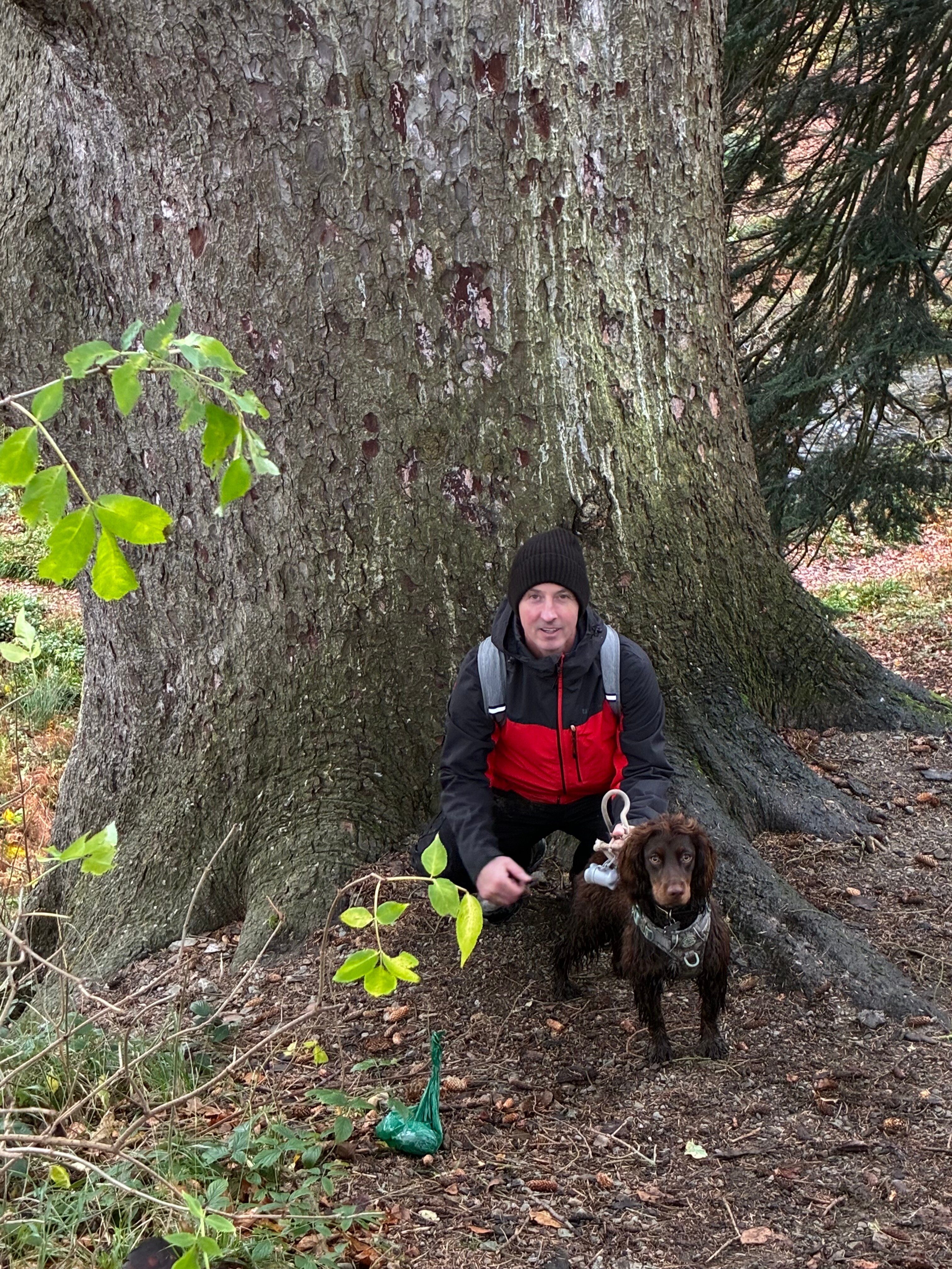 The Royal at Dockray-官方