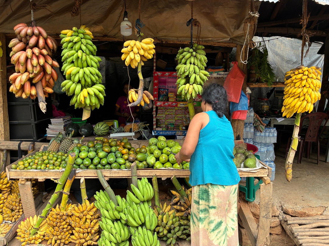 Private Tour Guide in Sri Lanka-科伦坡必去景点