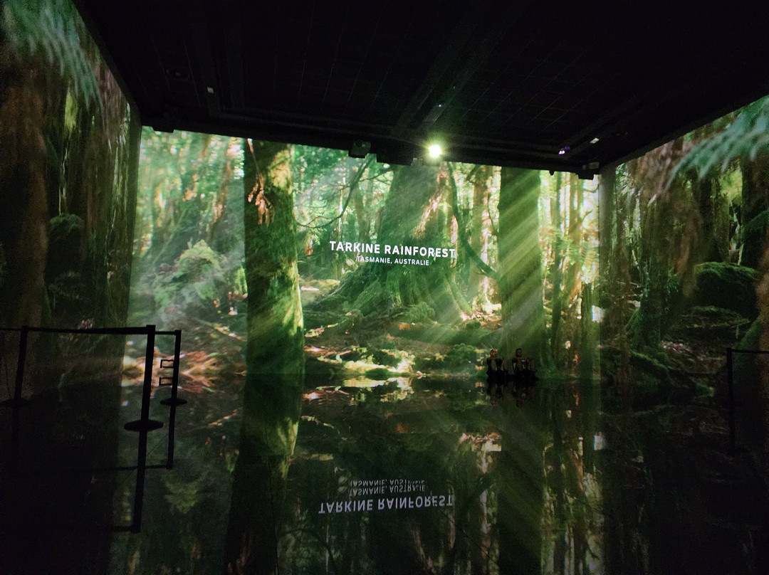 Bassins De Lumières-波尔多必去景点