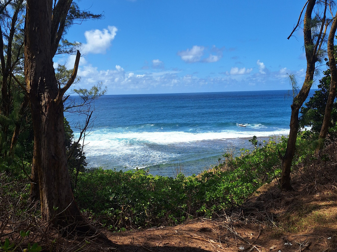 Nature Trails Mauritius-卡特勒博尔纳必去景点