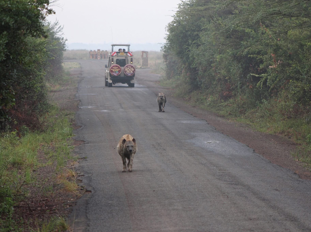 Adept Kenya Safaris-内罗毕必去景点