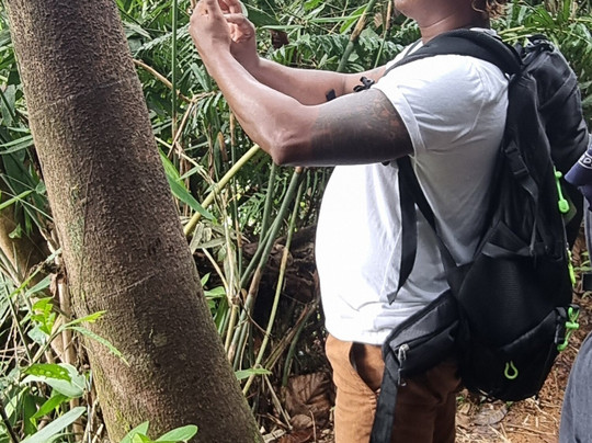 KIYON TRAVELS & TOURS-Gampaha必去景点