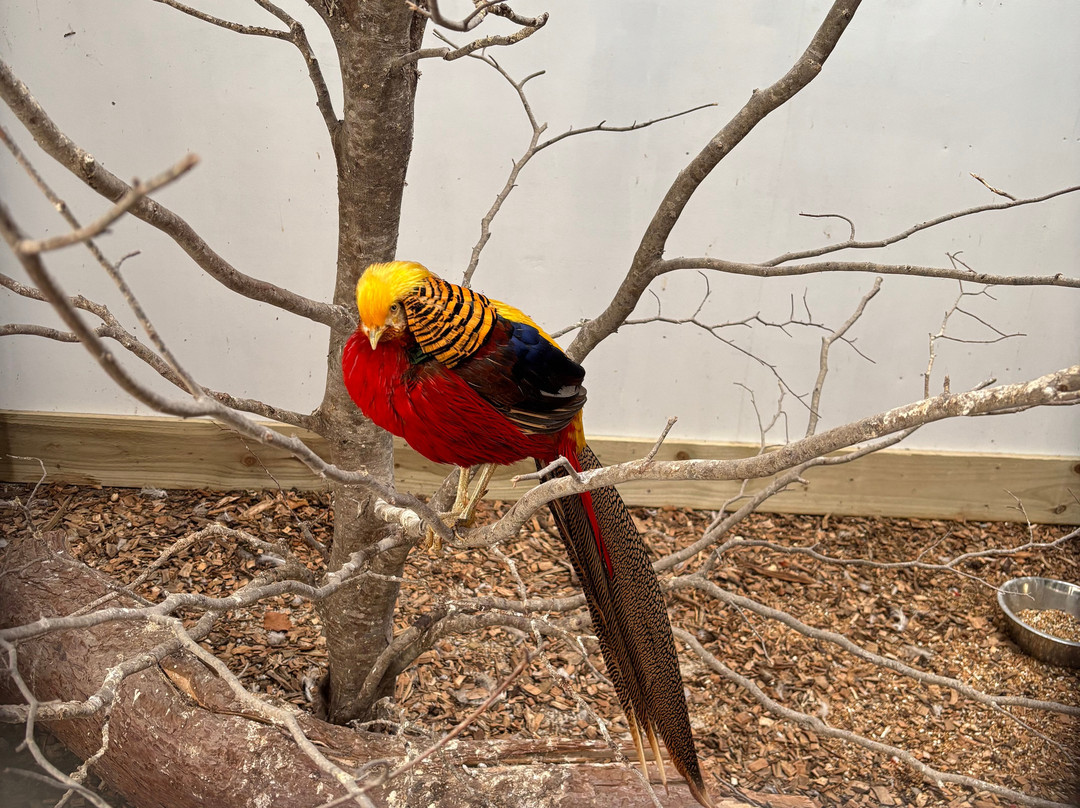 Newbridge House & Farm-Donabate必去景点