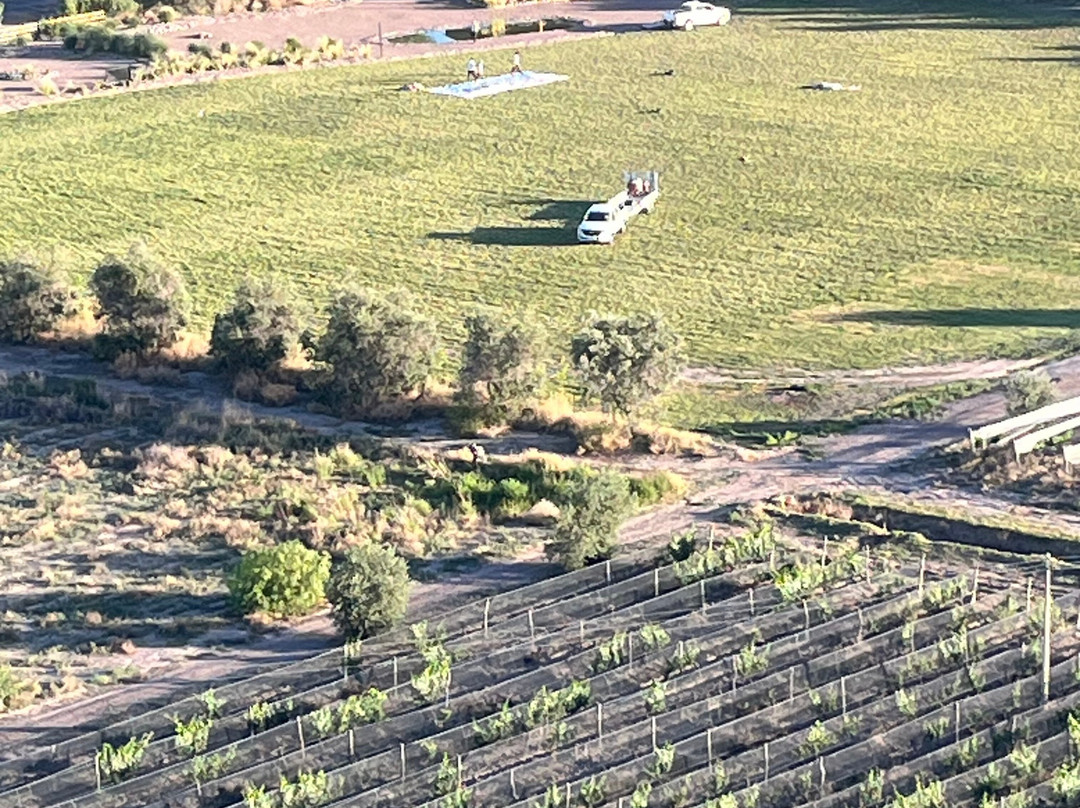 Mendoza Balloons-门多萨必去景点