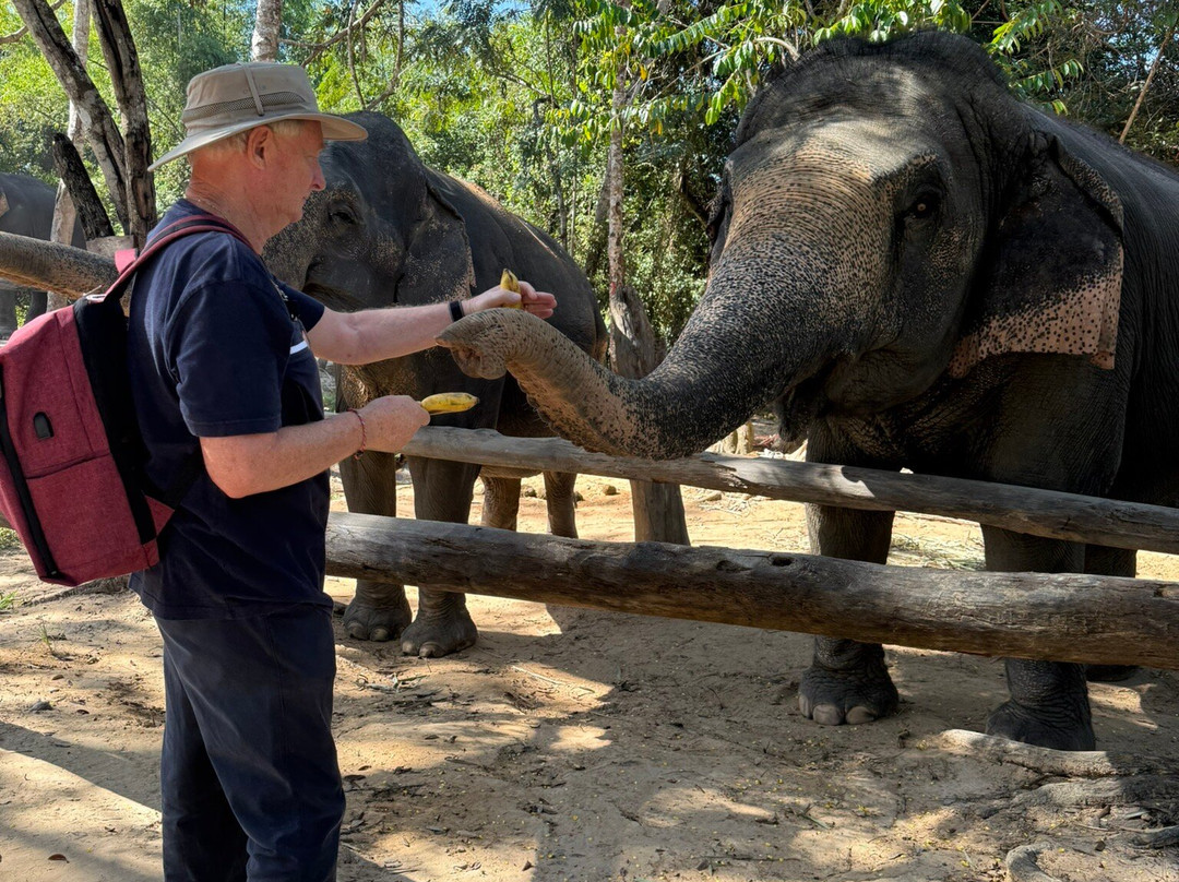 Kulen Elephant Forest-暹粒必去景点