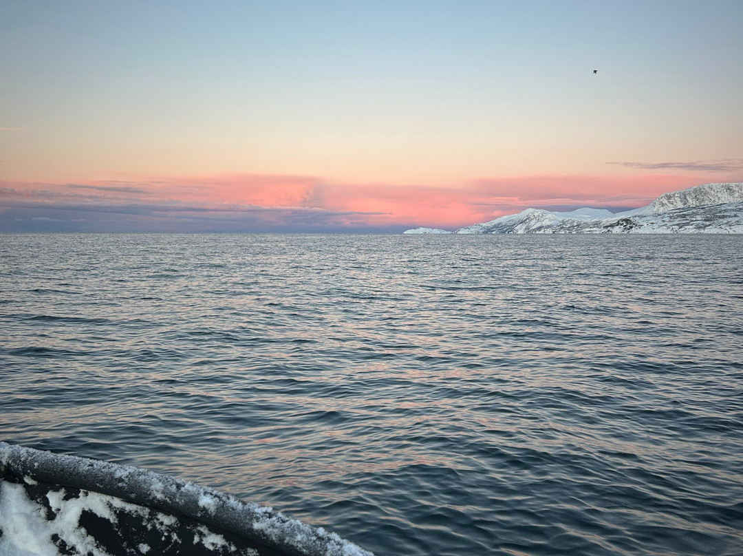 Explore 70 Degrees-Skjervoy必去景点