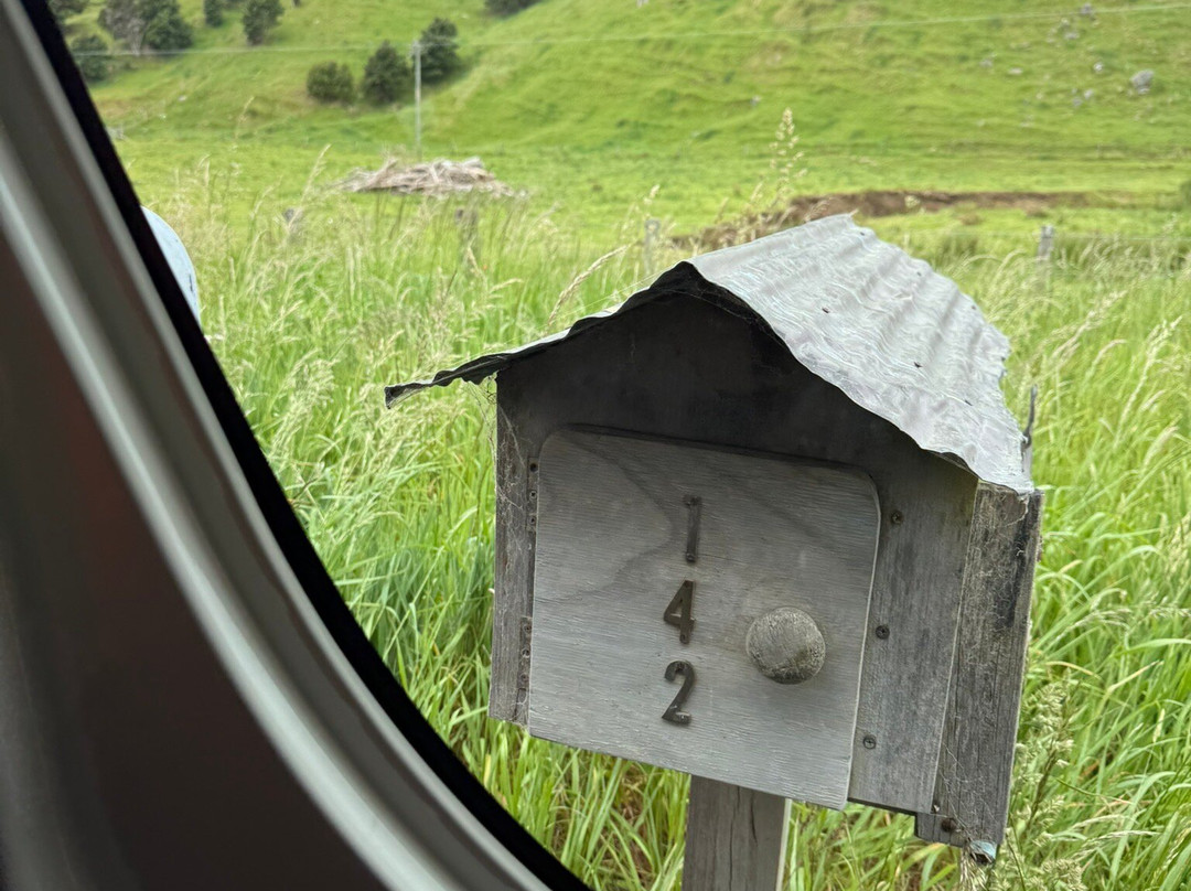 Akaroa's Eastern Bays Scenic Mail Run-阿卡罗阿必去景点