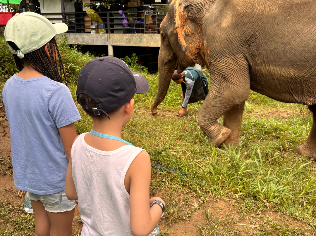 Phuket Elephant Nature Reserve-他朗必去景点