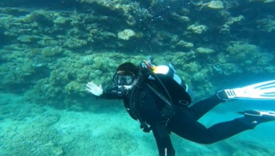 Gorilla Chop-本部町必去景点