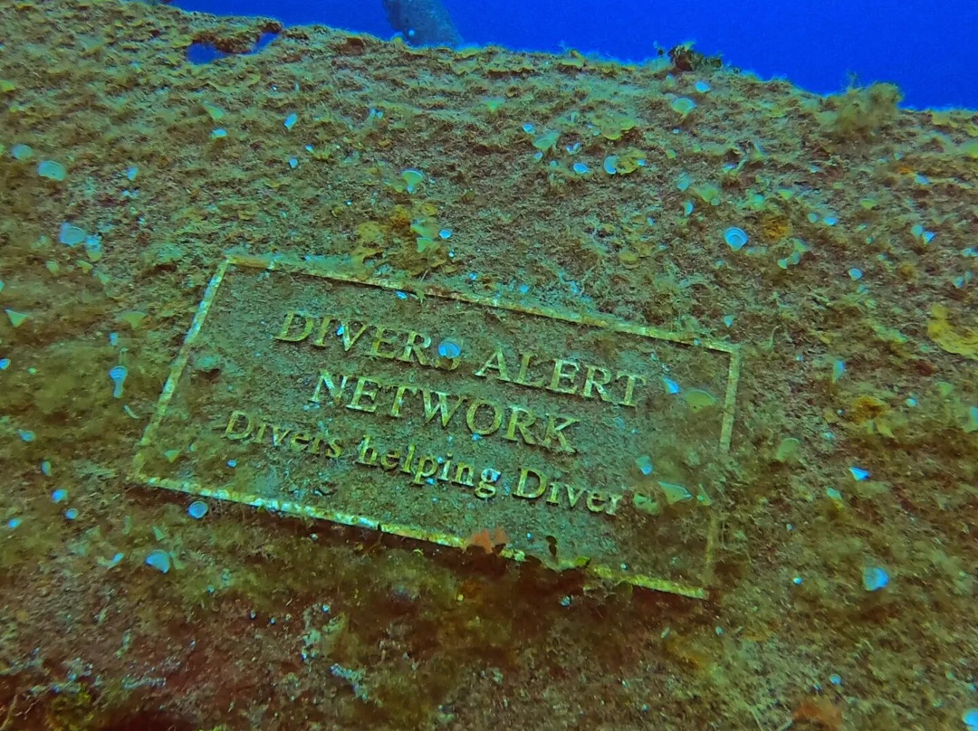 Kittiwake Shipwreck & Artificial Reef-西湾必去景点