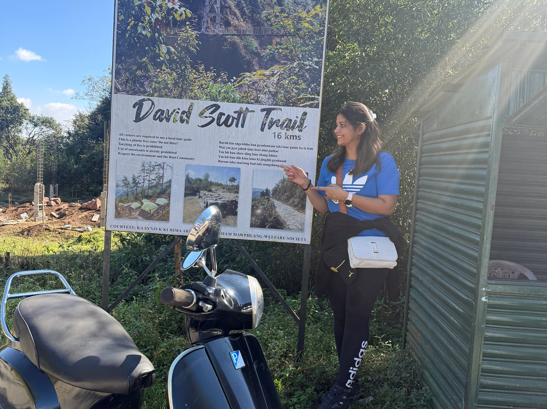 David Scott Trail-Mawphlang必去景点