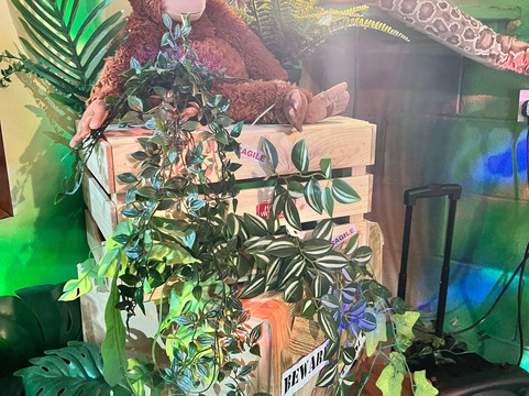 Go Bananas-桑德兰必去景点