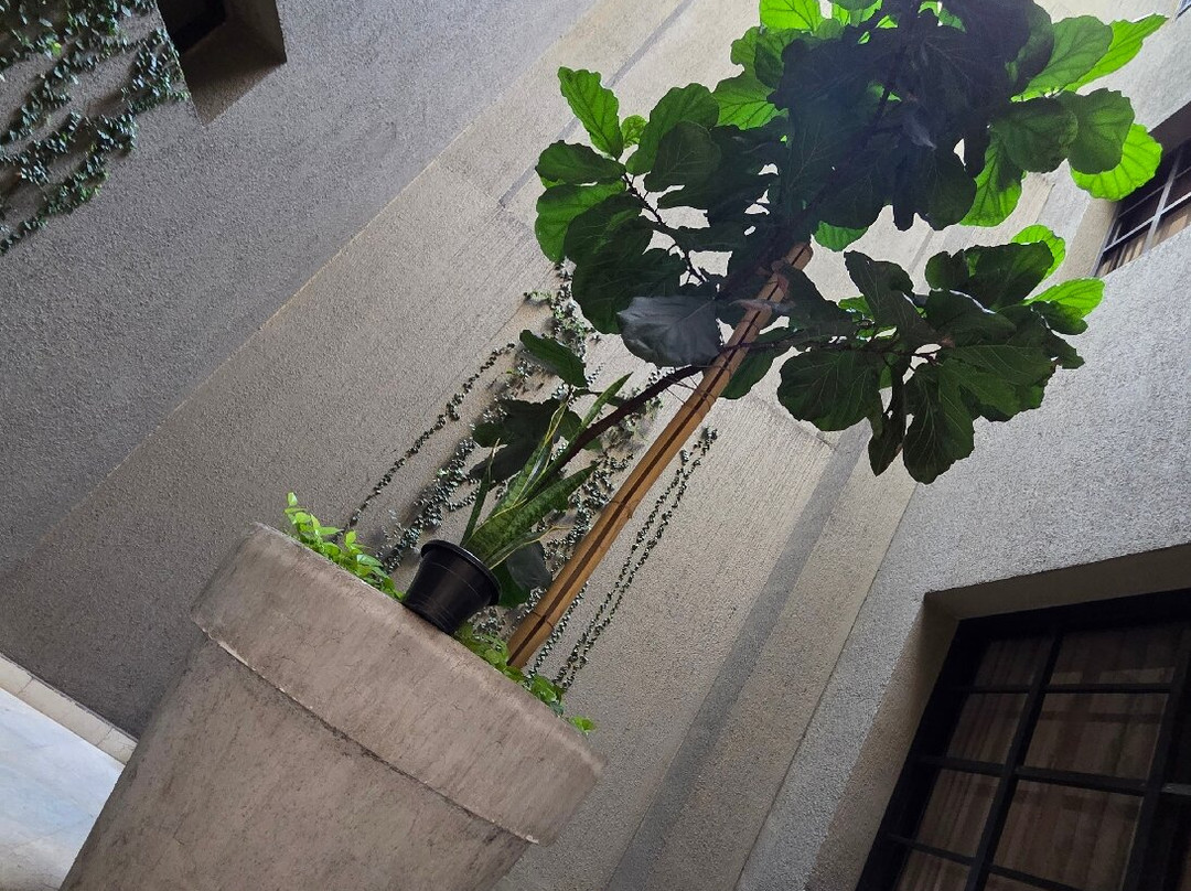 卡利里奥大道 NH主图