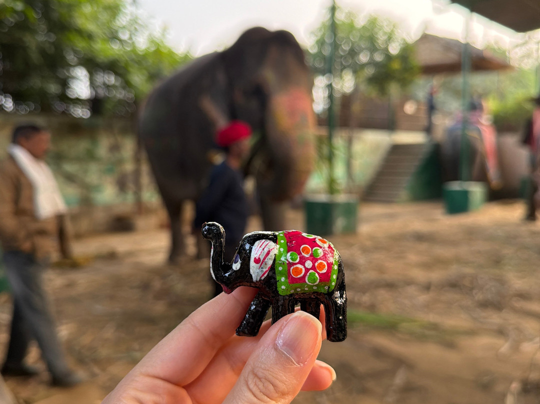 EleJungle-Amer必去景点