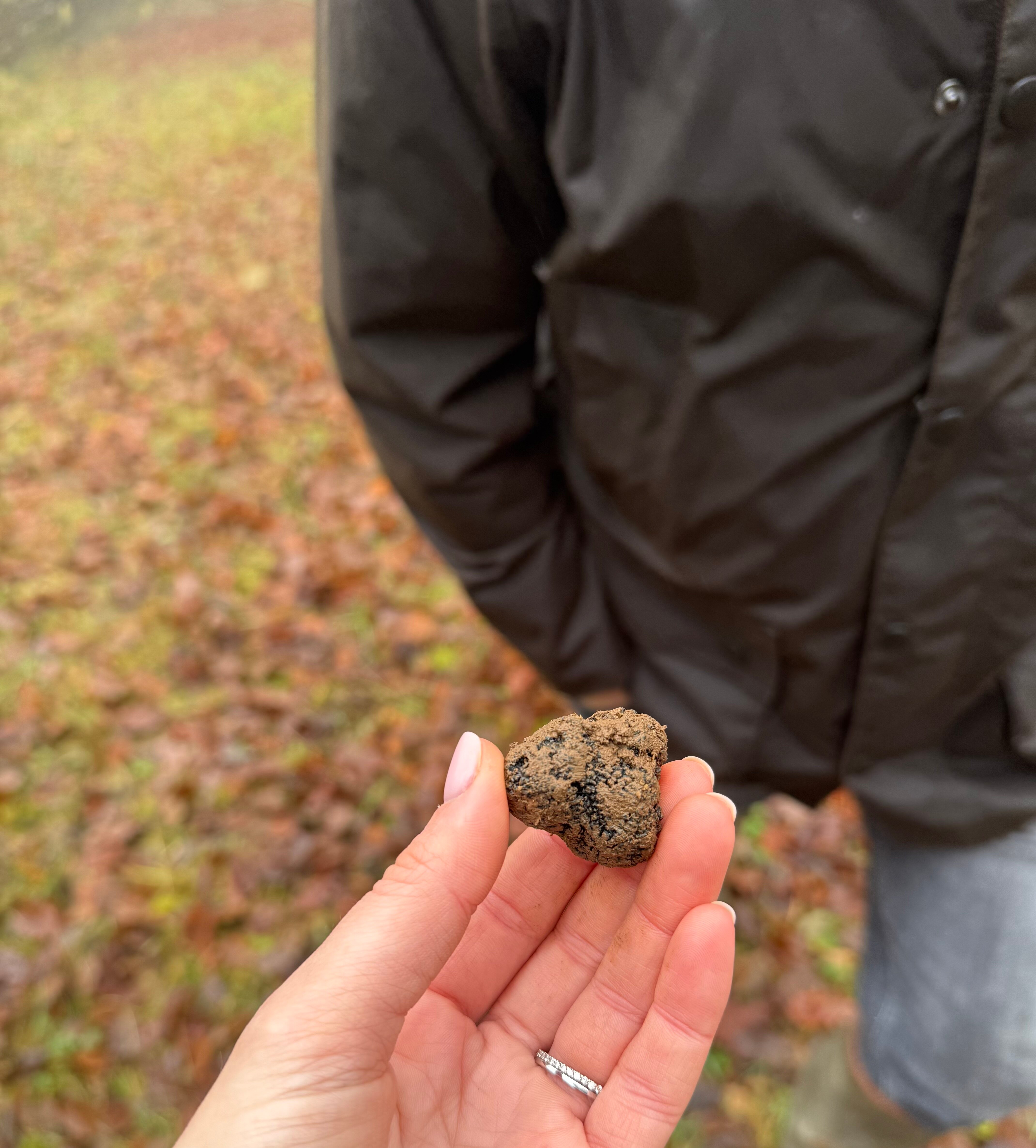 Domaine de la Combotte-官方