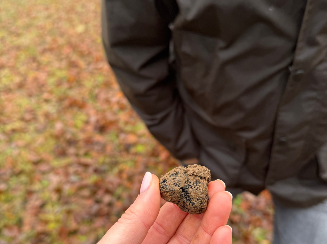 Domaine de la Combotte主图